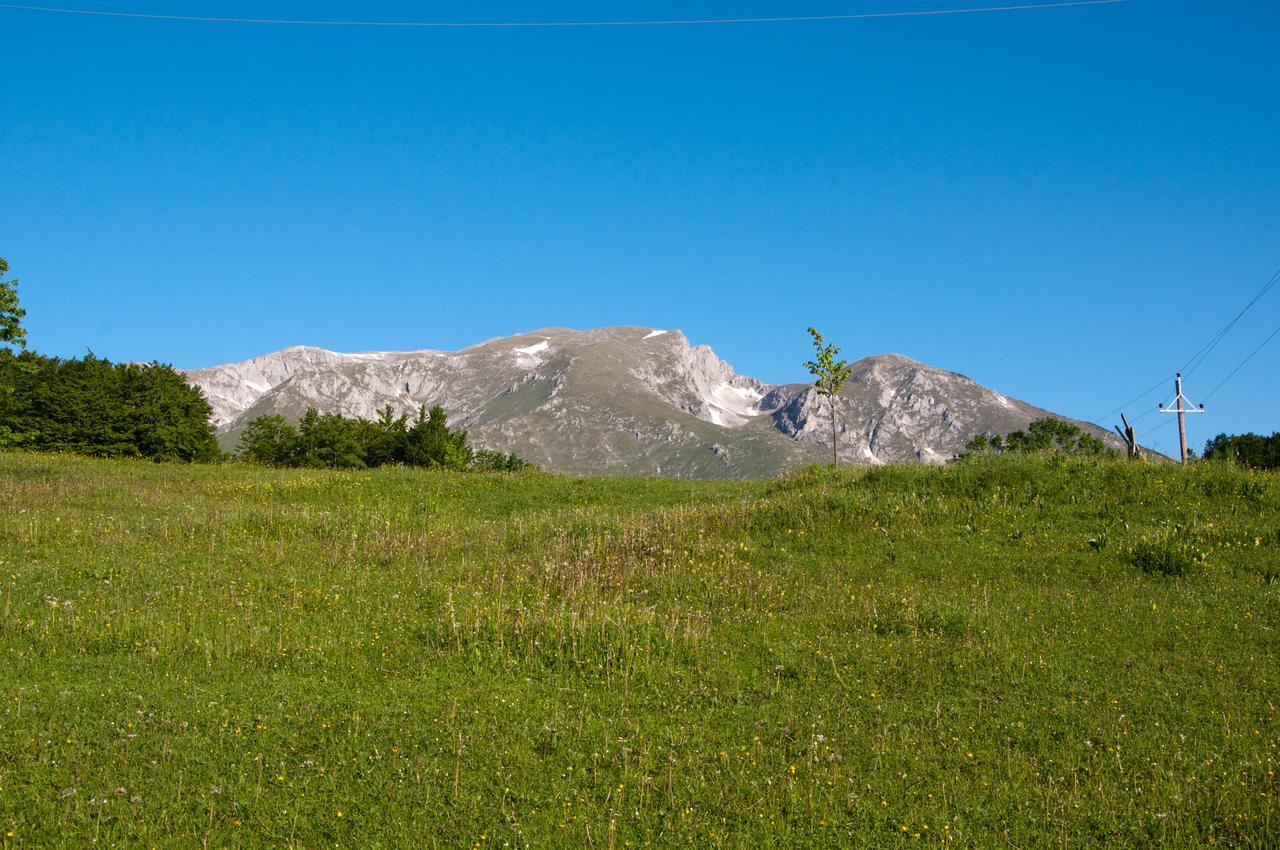 Green Forest Žabljak エクステリア 写真